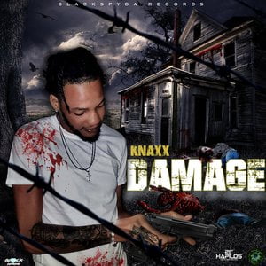Damage