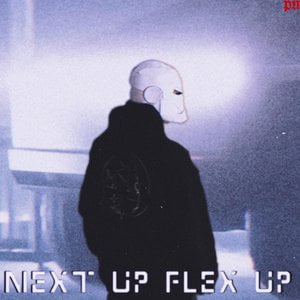 Next Up Flex Up