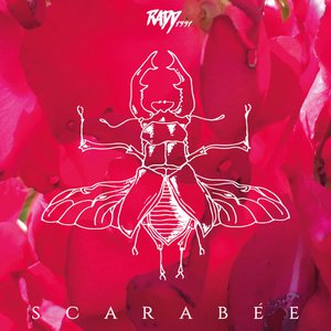 Scarabée