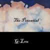 The Potential