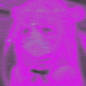 noscope