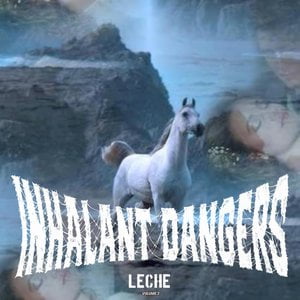 Inhalant Dangers, Vol. 2