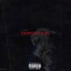 Opposition