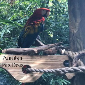 Pax Deus
