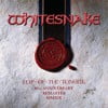 Slip of the Tongue (Super Deluxe Edition; 2019 Remaster)