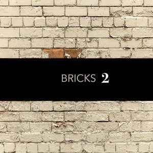 Bricks 2