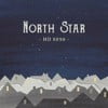 North Star - HD 8890