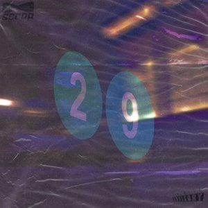 29