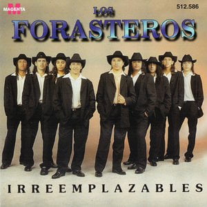 Irreemplazables