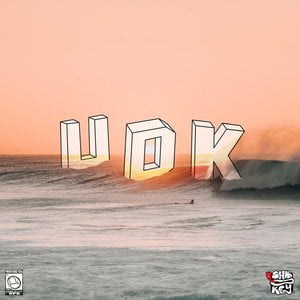 UDK