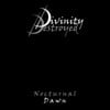 Nocturnal Dawn
