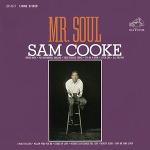 Mr. Soul