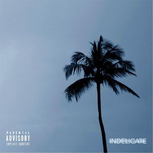 Indelicate