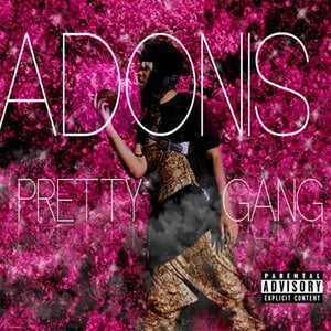 Pretty Gang
