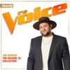 The Season 19 Collection (The Voice Performance)