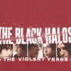 The Violent Years