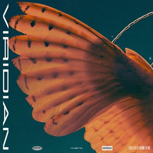 Kinetic