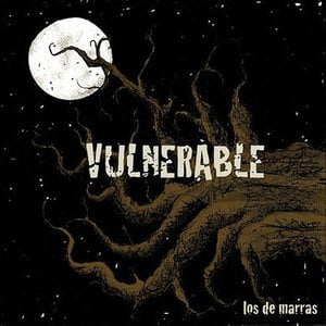 Vulnerable