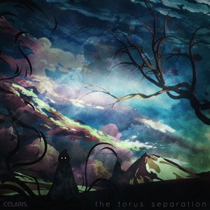 The Torus Separation