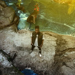 Jungle