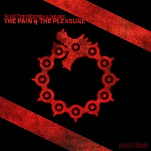 The Pain & the Pleasure