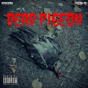 Dead Pigeon