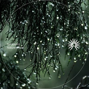 Nature's Rain