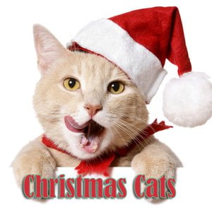 Christmas Cats