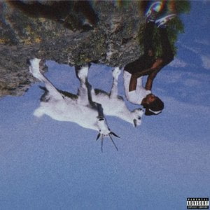 Goats On a Cliff