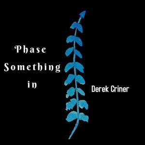 Phase Something In