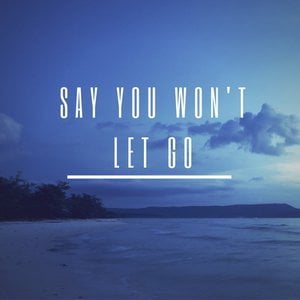 Say U Won't Let Go