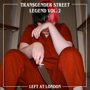 Transgender Street Legend, Vol. 2