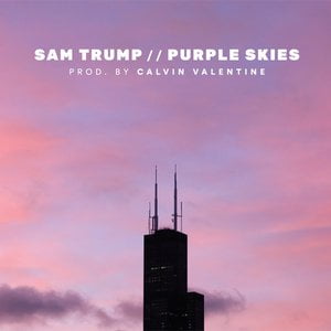 PURPLE SKIES