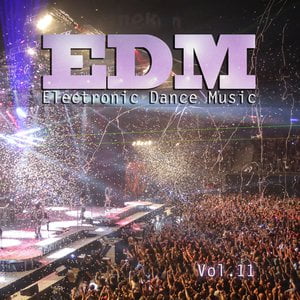 Electronic Dance Music, Vol. 11