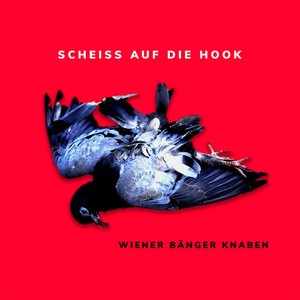 SCHEISS AUF DIE HOOK