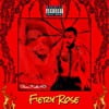 Fiery Rose