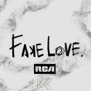 Fake Love