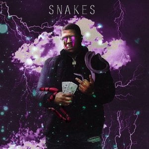 Snakes