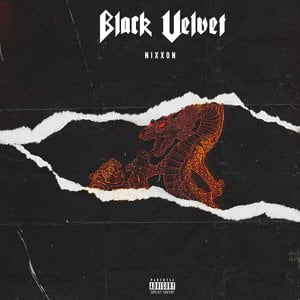 Black Velvet