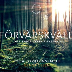 Förvårskväll