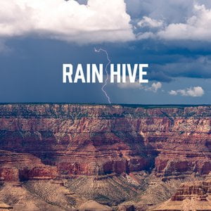 Rain Hive