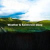 ! ! ! Weather & Rainforest Sleep ! ! !