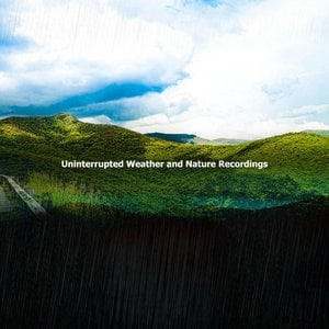 ! ! ! ! Uninterrupted Weather and Nature Recordings ! ! ! !