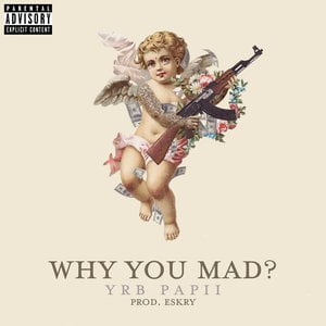 WHY YOU MAD?