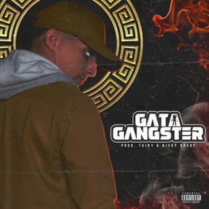 Gata Gangster