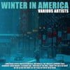 Winter In America