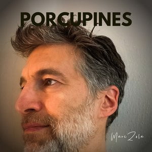 Porcupines