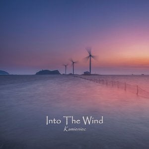 Into The Wind