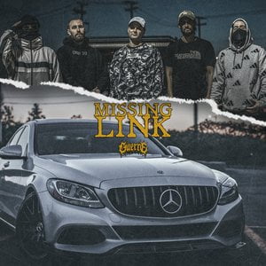 Missing Link