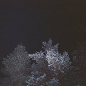 77